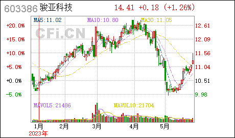 广州注册小公司广东骏亚:第二届董事会第二十一次会议决议